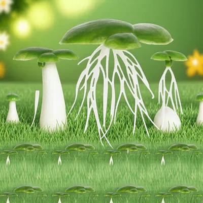 Planted Aquarium Mini - แพ็ค 2 ชิ้น สาหร่ายน้ำปลอมสำหรับตู้ปลา ของตกแต่งสาหร่ายน้ำปลอม ต้นไม้ปลอมขนาดเล็กสำหรับตู้ปลา