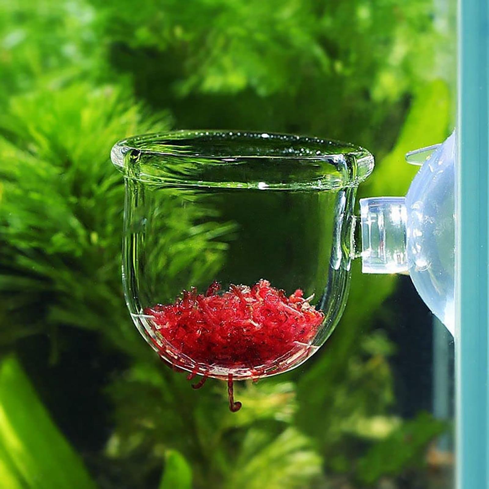 Aquarium Planted Seeds - กระถางต้นไม้ตู้ปลาแก้วทรงกระบอกพร้อมตัวดูดสำหรับเพาะเมล็ดพืชน้ำมอสปะการังอุปกรณ์ตกแต่งตู้ปลา