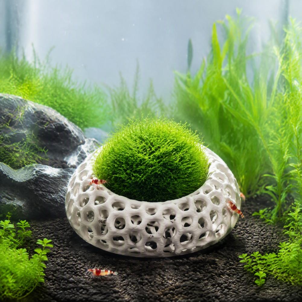 Planted Aquarium Moss - ที่อยู่อาศัยกุ้งแคระ 2 ชิ้น ถ้ำกุ้งสำหรับตู้ปลา ที่ซ่อนตัวทรงกลมสำหรับกุ้งแคระเชอร์รี่ มอส