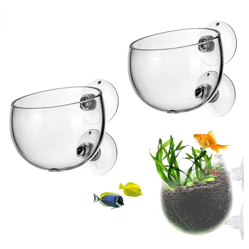 Aquarium Planted Seeds - กระถางต้นไม้แก้วทรงกระบอกแบบใหม่ พร้อมจุกดูด สำหรับเพาะเลี้ยงพืชน้ำ เมล็ดพันธุ์ ปะการัง มอส