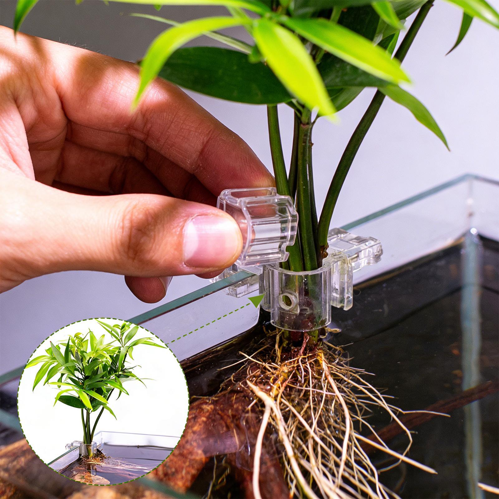 Planted Aquarium Mini - กระถางปลูกต้นไม้ขนาดเล็กสำหรับตู้ปลา 6 ชิ้น ที่วางต้นไม้ในตู้ปลา ถ้วยรองรับต้นไม้ อุปกรณ์ให้อาหารปลา