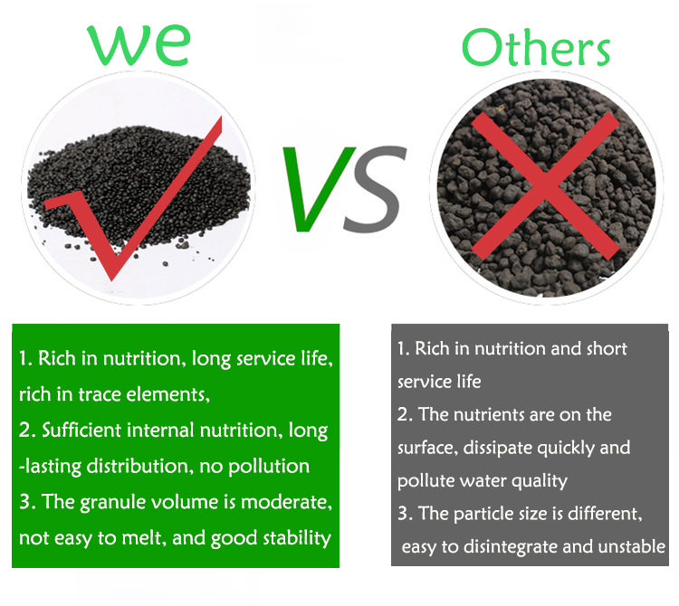 พิพิธภัณฑ์สัตว์น้ําน้ําหญ้าโคล - Aquarium Planted Seeds บทวิจารณ์และราคา