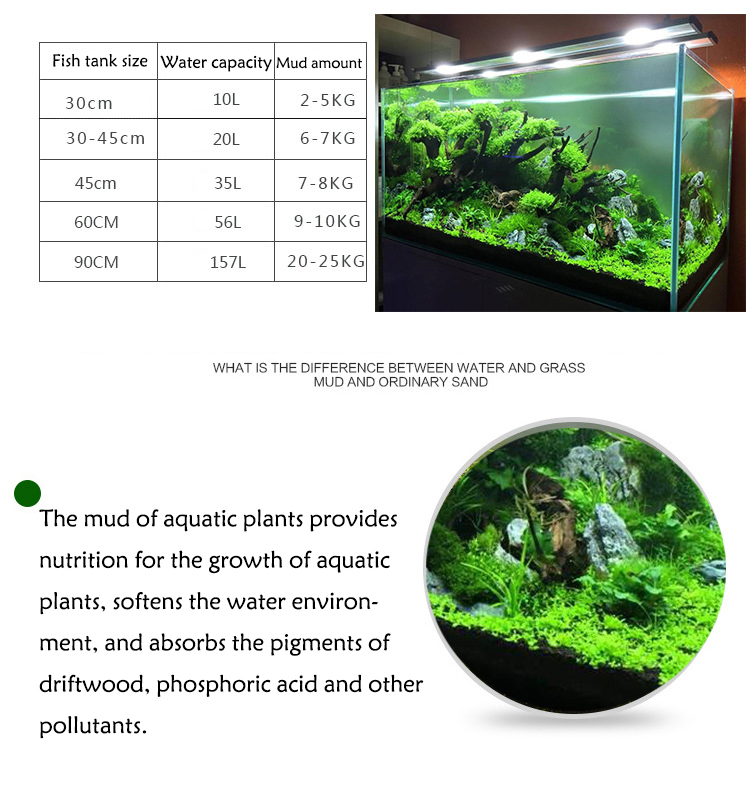 พิพิธภัณฑ์สัตว์น้ําน้ําหญ้าโคล - Aquarium Planted Seeds บทวิจารณ์และราคา