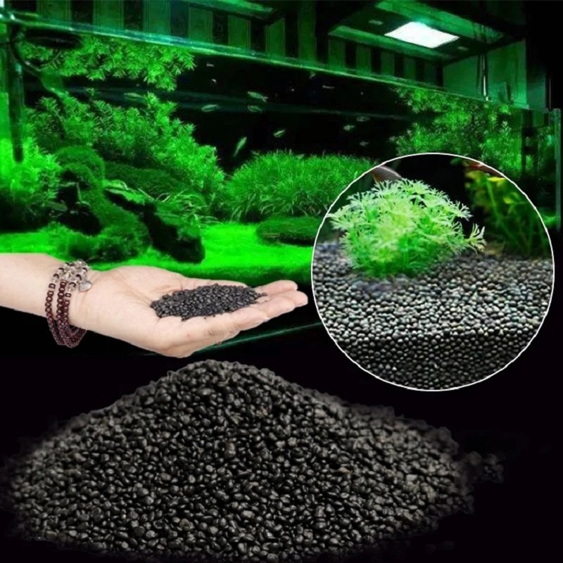 ถังปลาน้ําหญ้าโคลนพืชเมล็ดดิน  - Aquarium Planted Seeds บทวิจารณ์และราคา