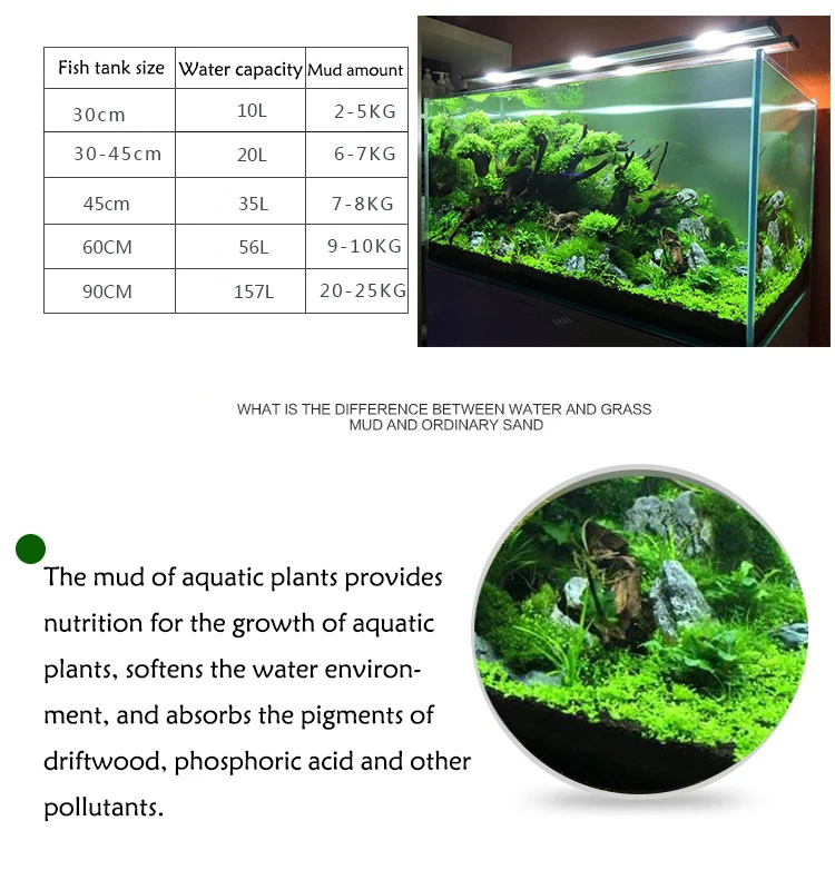 ถังปลาน้ําหญ้าโคลนพืชเมล็ดดิน  - Aquarium Planted Seeds บทวิจารณ์และราคา