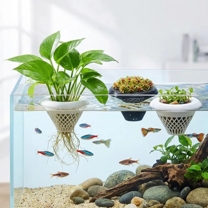 กระถางปลูกพืชน้ำแบบลอยได้, ที่ - Planted Aquarium Jar บทวิจารณ์และราคา