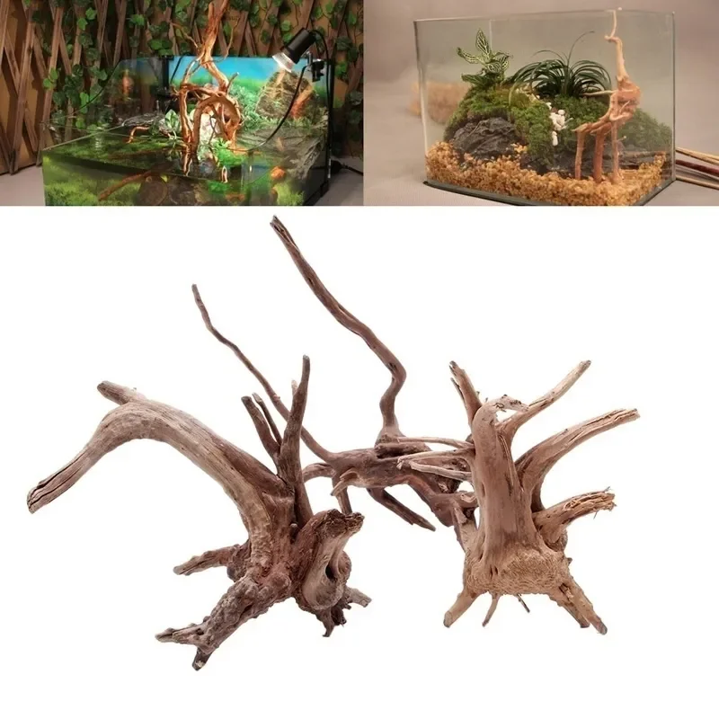 ต้นไม้ธรรมชาติลำต้นไม้ดริฟท์วู - Aquarium Planted Tree บทวิจารณ์และราคา