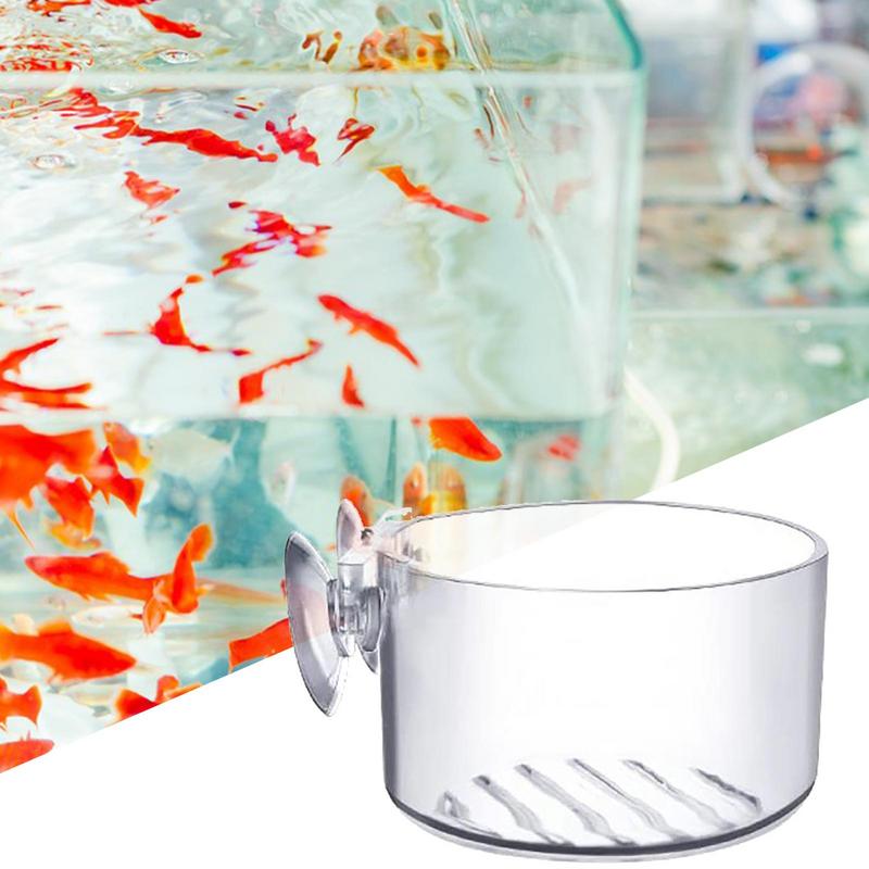 พิพิธภัณฑ์สัตว์น้ําหม้อพืชแก้ว - Aquarium Planted Seeds บทวิจารณ์และราคา