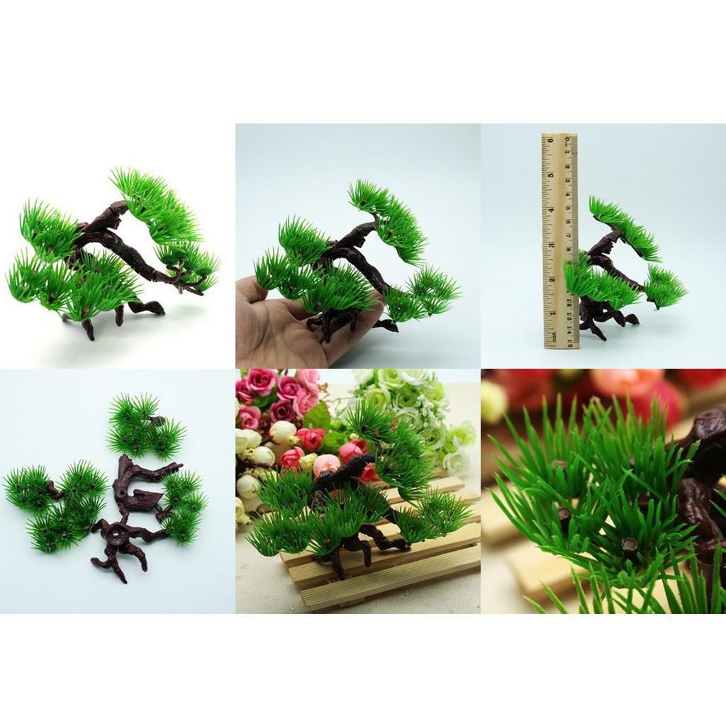 ต้นไม้ใต้น้ำสำหรับตกแต่งตู้ปลา - Aquarium Planted Tree บทวิจารณ์และราคา