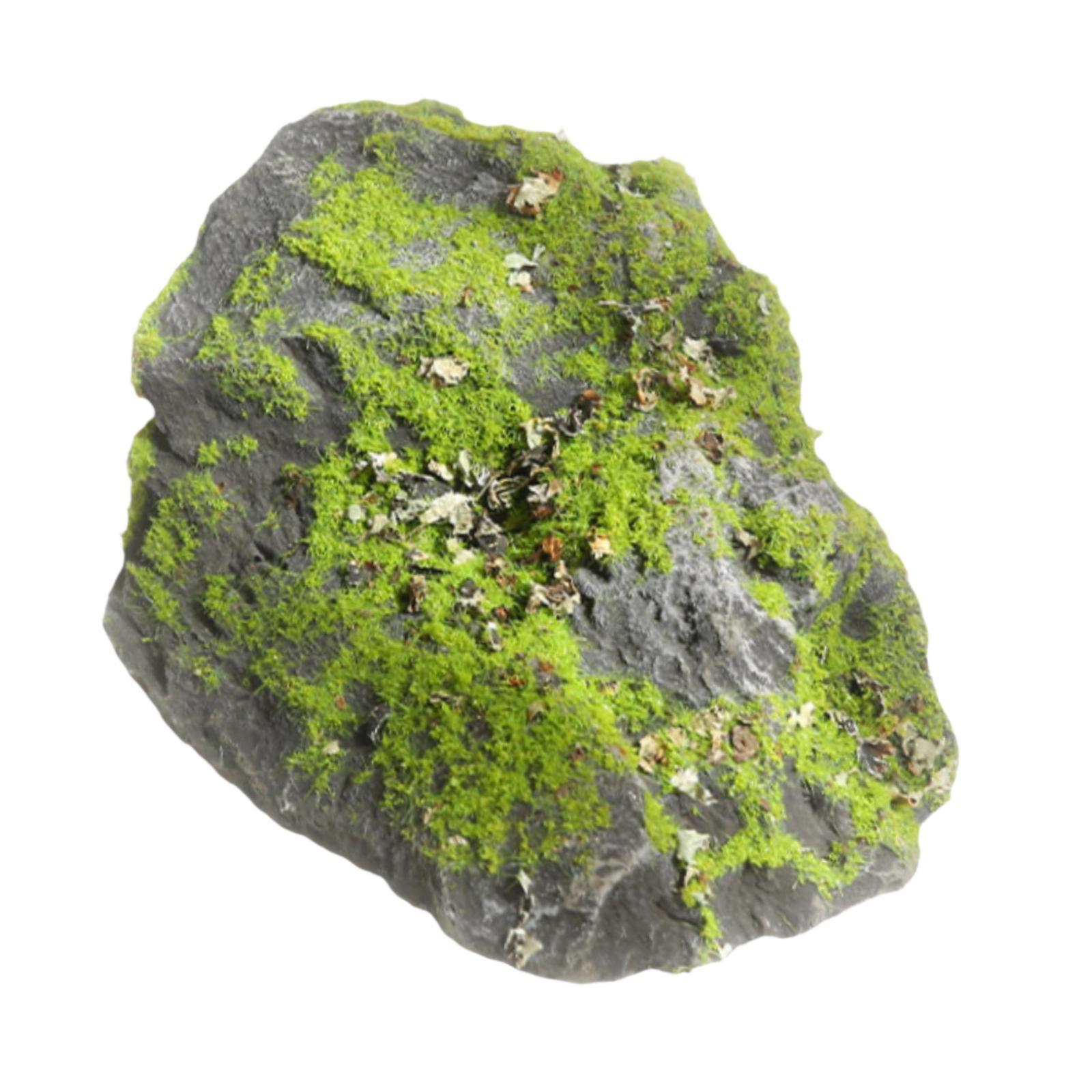 หินมอสปลอม ต้นไม้หินเลคีนสีเขี - Planted Aquarium Moss บทวิจารณ์และราคา