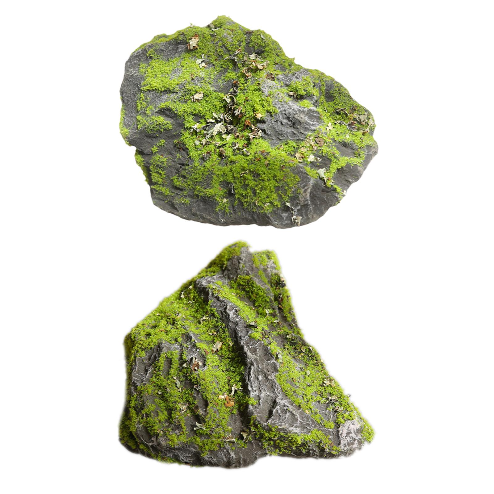 หินมอสปลอม ต้นไม้หินเลคีนสีเขี - Planted Aquarium Moss บทวิจารณ์และราคา