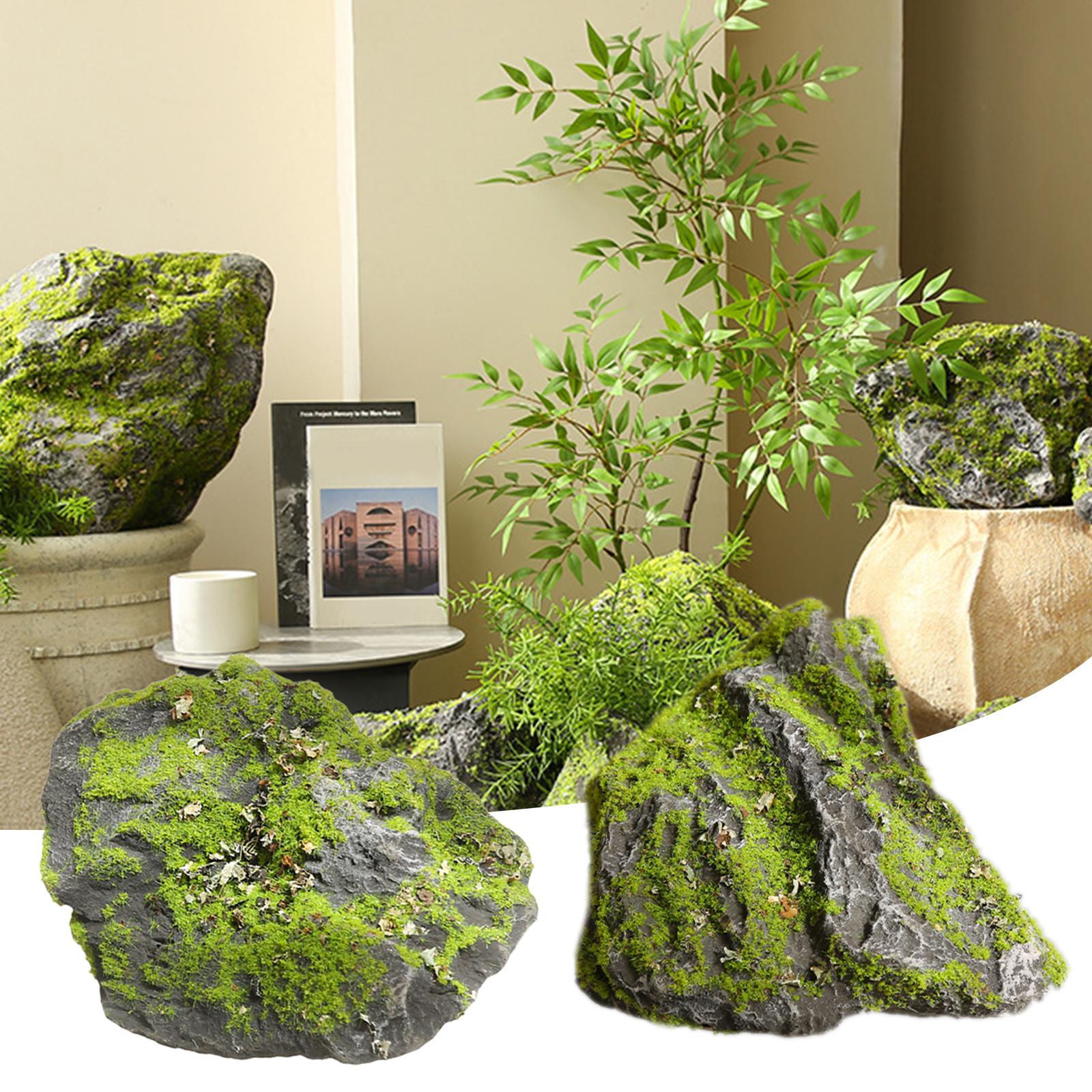 หินมอสปลอม ต้นไม้หินเลคีนสีเขี - Planted Aquarium Moss บทวิจารณ์และราคา