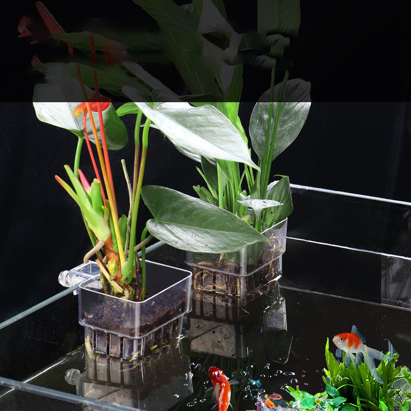 1 PC Aquarium Hydroponic ตะกร้ - Aquarium Planted Seeds บทวิจารณ์และราคา