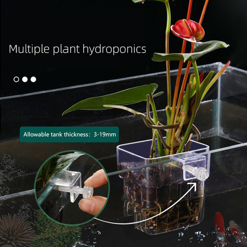 1 PC Aquarium Hydroponic ตะกร้ - Aquarium Planted Seeds บทวิจารณ์และราคา