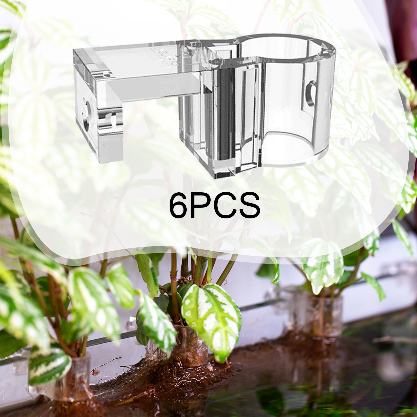 ที่วางต้นไม้ในตู้ปลา 6 ชิ้น ถ้ - Planted Aquarium Mini บทวิจารณ์และราคา