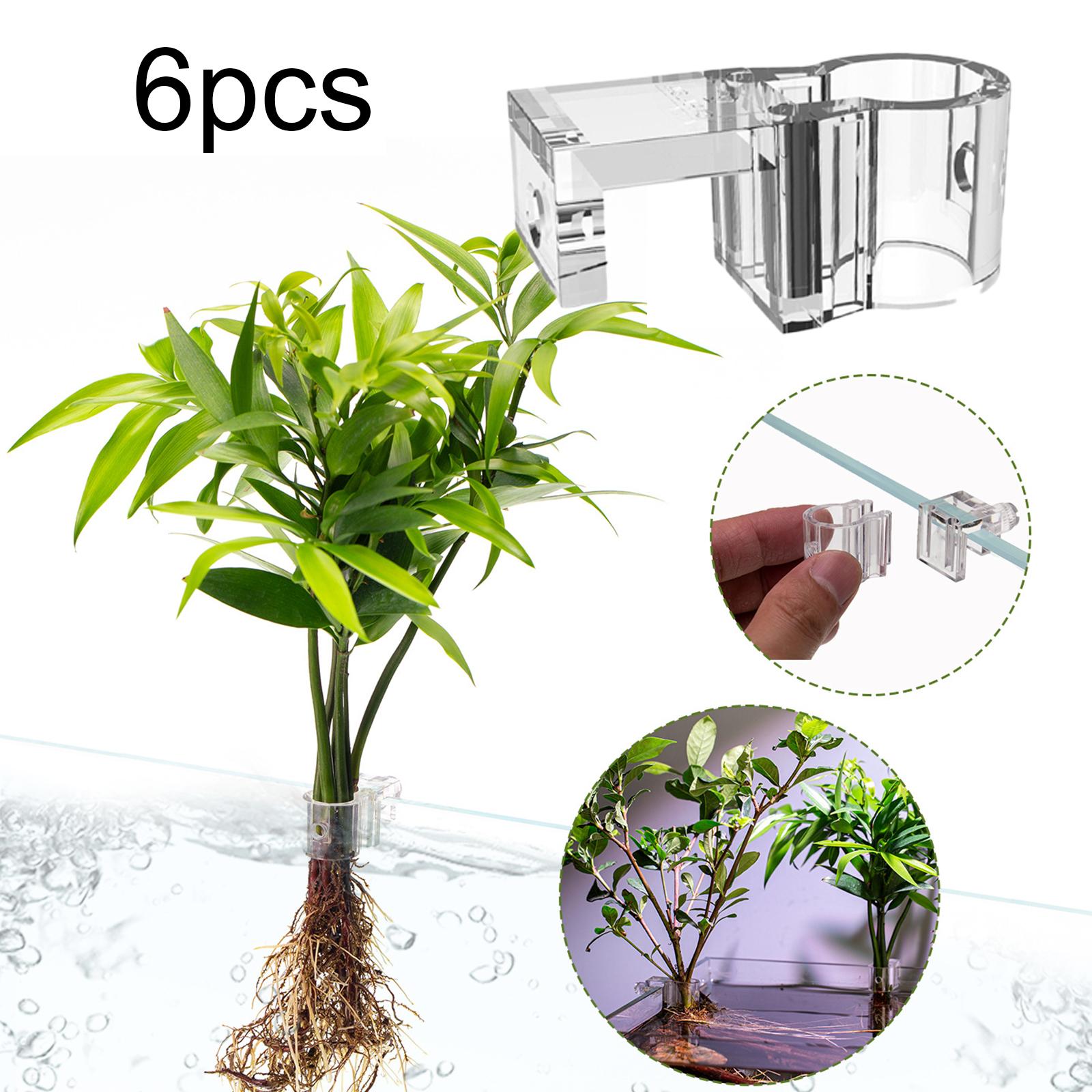 ที่วางต้นไม้ในตู้ปลา 6 ชิ้น ถ้ - Planted Aquarium Mini บทวิจารณ์และราคา