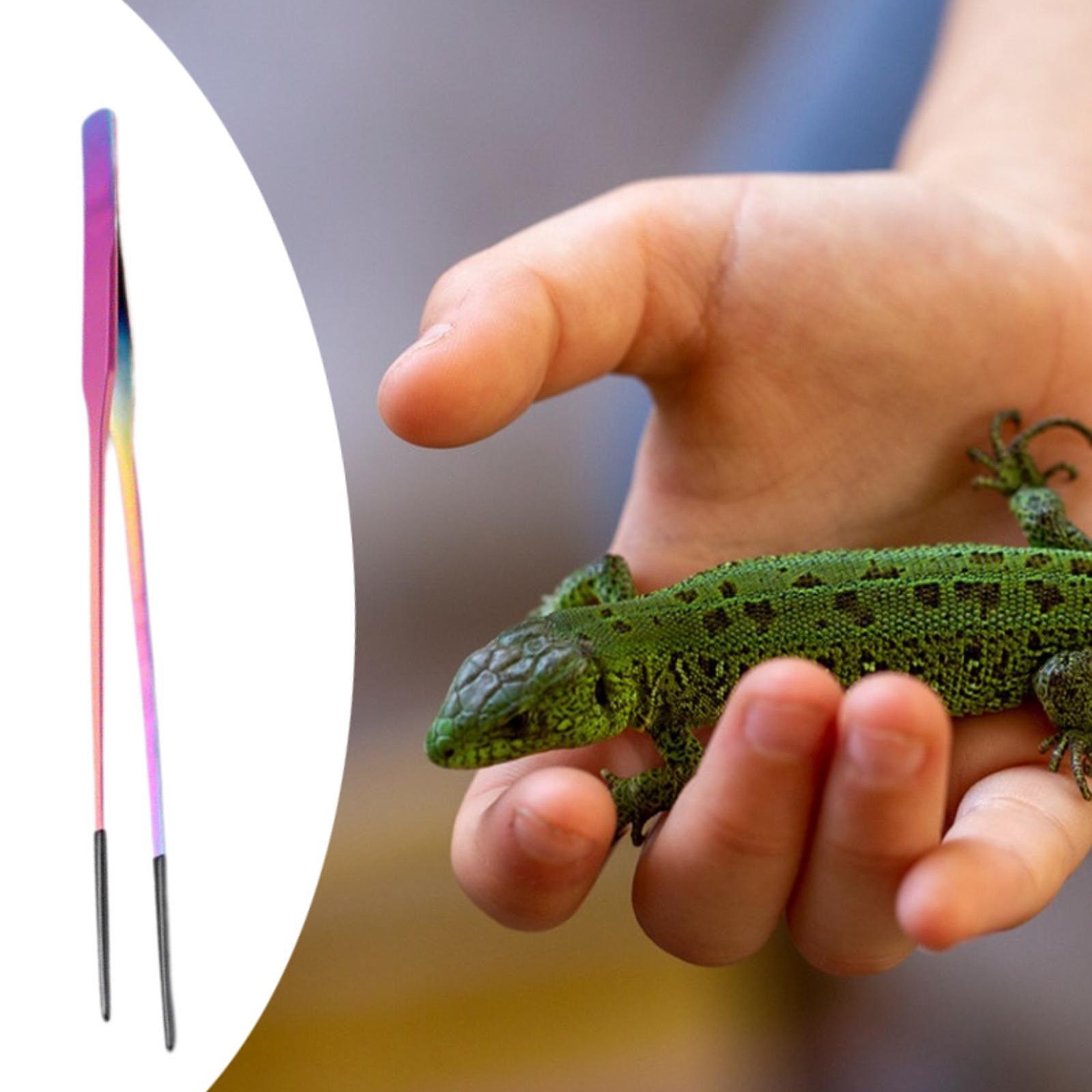 แหนบป้อนอาหารสัตว์เลื้อยคลาน ป - Planted Aquarium Tips บทวิจารณ์และราคา