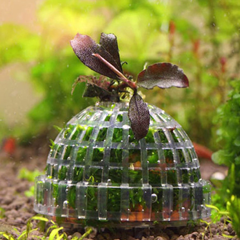 1 ชิ้น อุปกรณ์ตกแต่งตู้ปลา ลูก - Planted Aquarium Moss บทวิจารณ์และราคา