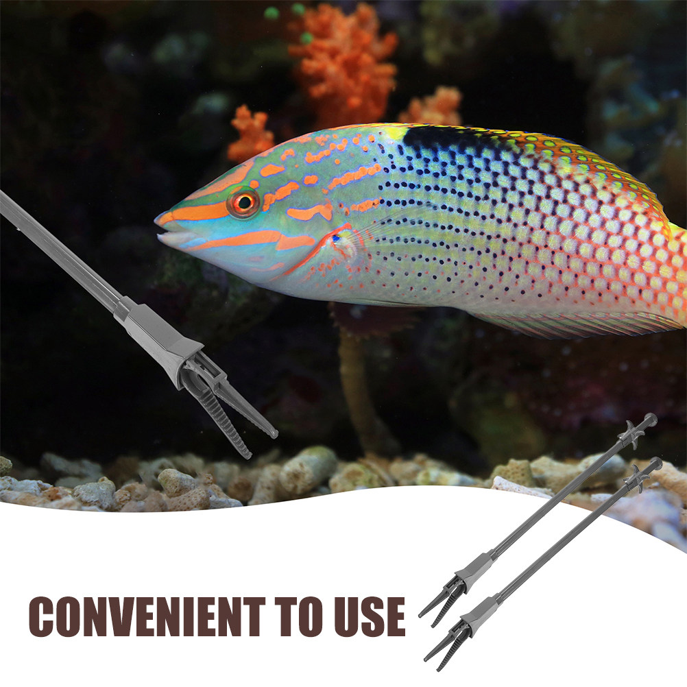 2 ชิ้น แหนบกำจัดวัชพืชในตู้ปลา - Planted Aquarium Tips บทวิจารณ์และราคา