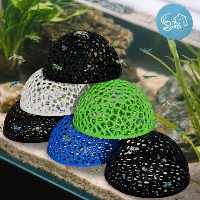 ที่ซ่อนตัวในตู้ปลา ถ้ำสำหรับปล - Planted Aquarium Moss บทวิจารณ์และราคา