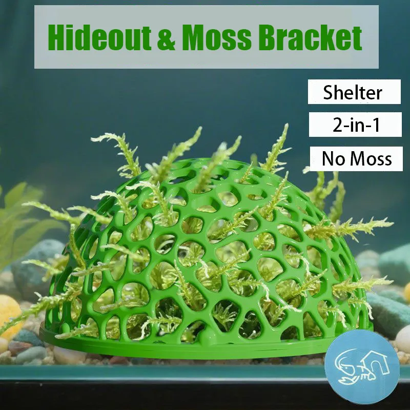 ที่ซ่อนตัวในตู้ปลา ถ้ำสำหรับปล - Planted Aquarium Moss บทวิจารณ์และราคา