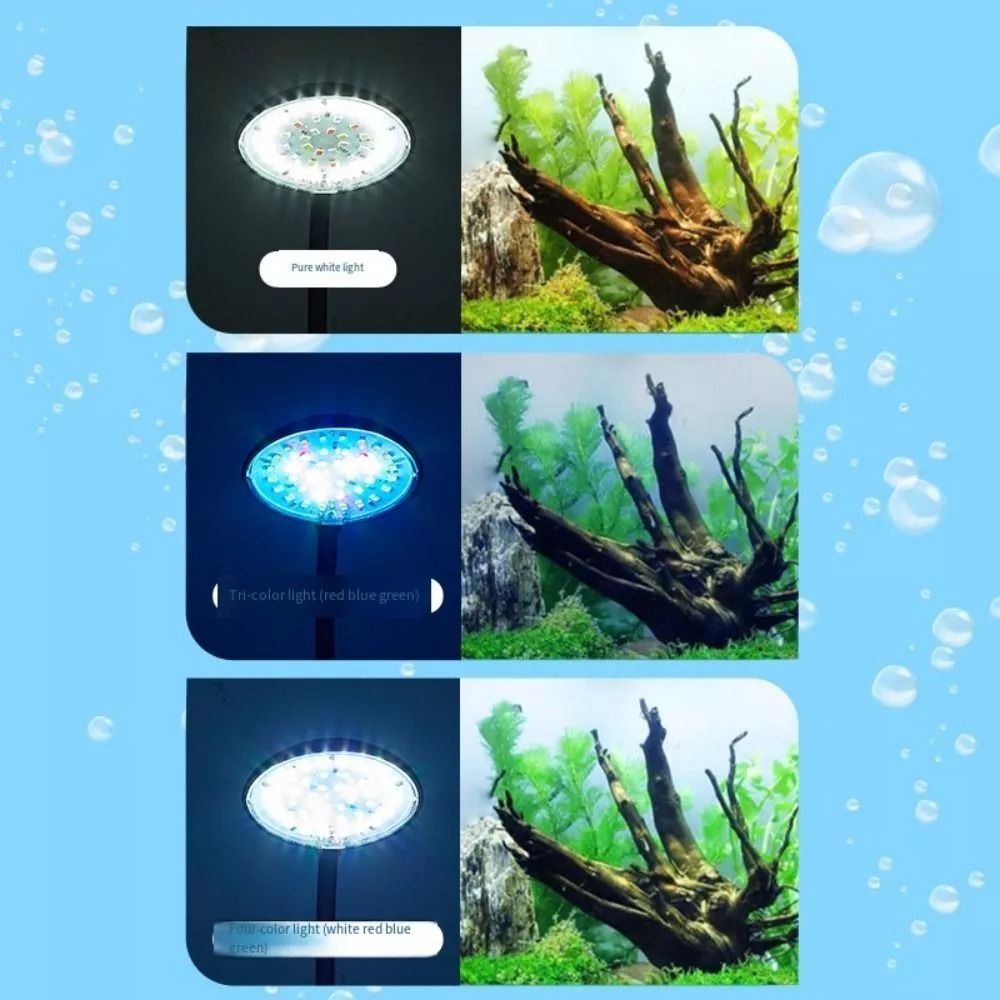 ใหม่ Mini Fish Tank คลิปโคมไฟ  - Planted Aquarium Mini บทวิจารณ์และราคา