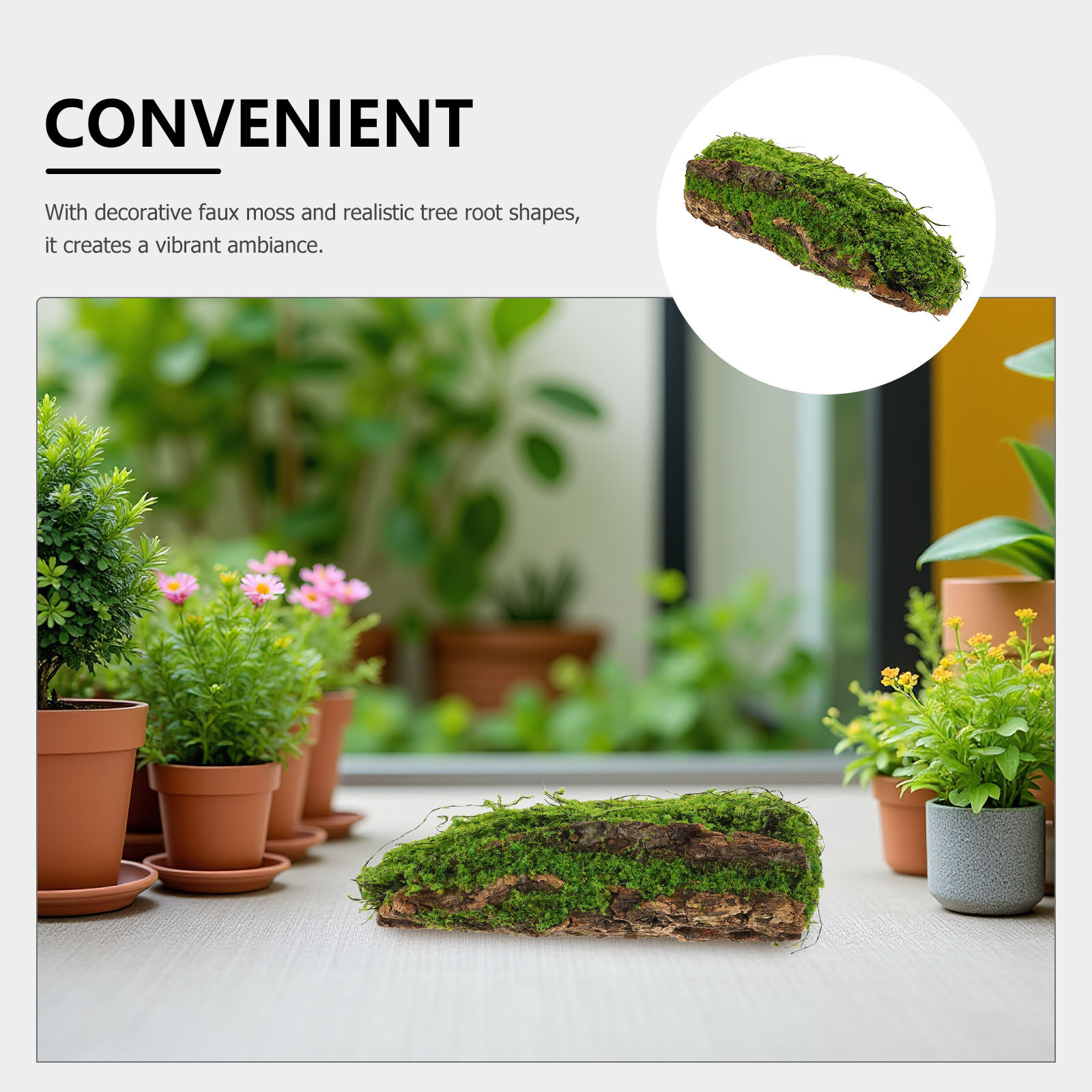มอสเทียมและไม้ลอยน้ำสำหรับตกแต - Planted Aquarium Moss บทวิจารณ์และราคา