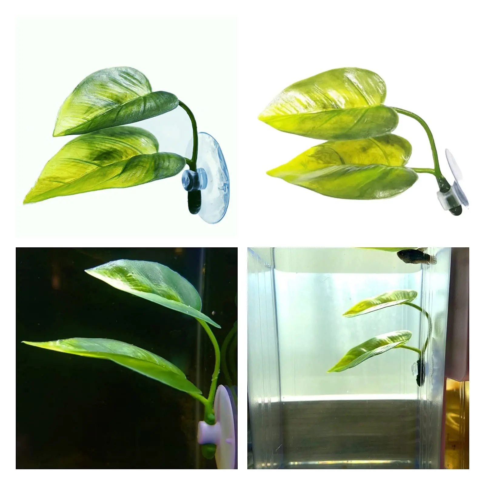 ของตกแต่งตู้ปลาสำหรับสัตว์เลี้ - Aquarium Planted Tree บทวิจารณ์และราคา