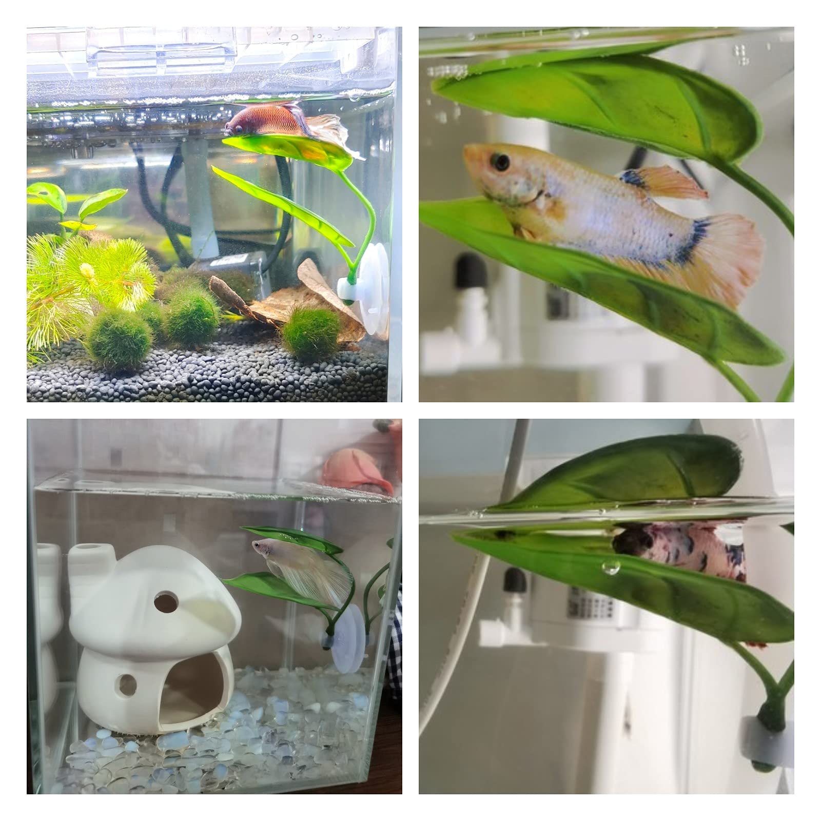 ของตกแต่งตู้ปลาสำหรับสัตว์เลี้ - Aquarium Planted Tree บทวิจารณ์และราคา
