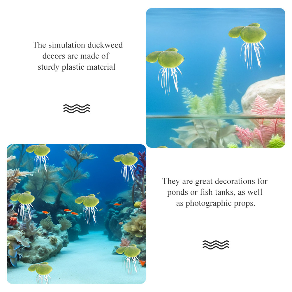 พืชน้ำจำลองลายใบอ้อ สำหรับตู้ป - Planted Aquarium For Beginners บทวิจารณ์และราคา