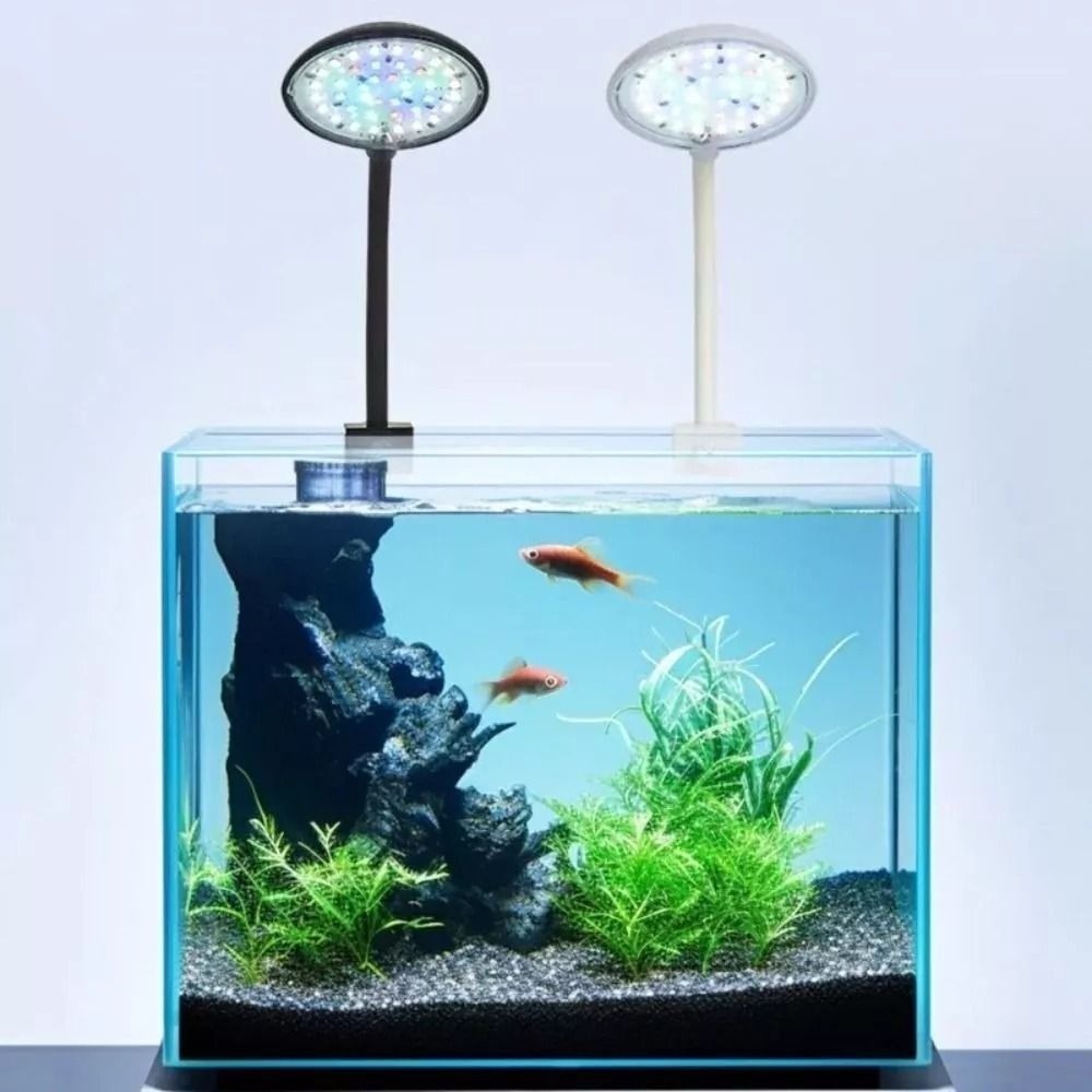 โคมไฟขนาดเล็กแบบหนีบสำหรับตู้ป - Planted Aquarium Mini บทวิจารณ์และราคา