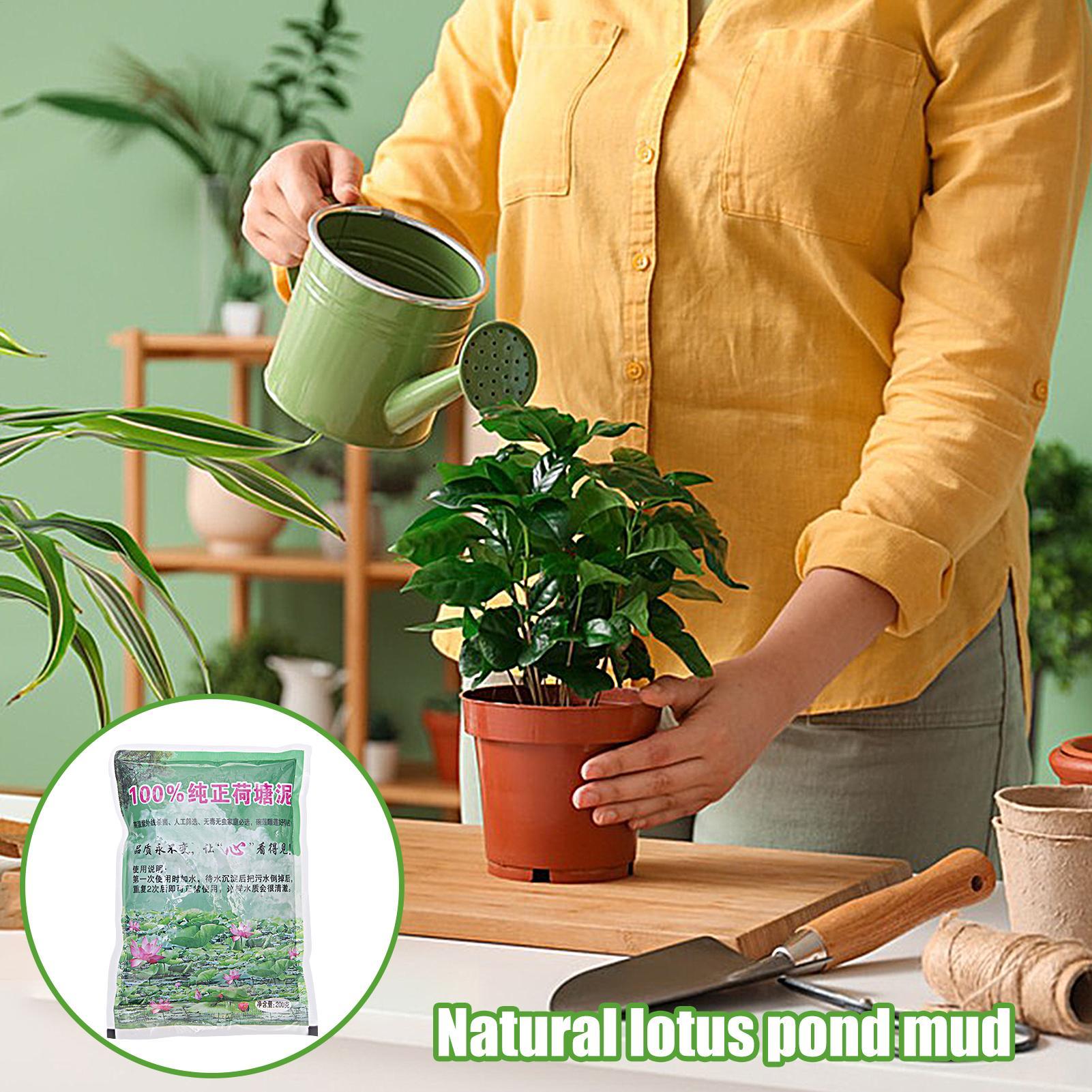 ดินปลูกในตู้ปลา 200 กรัม/ถุง ด - Aquarium Planted Seeds บทวิจารณ์และราคา