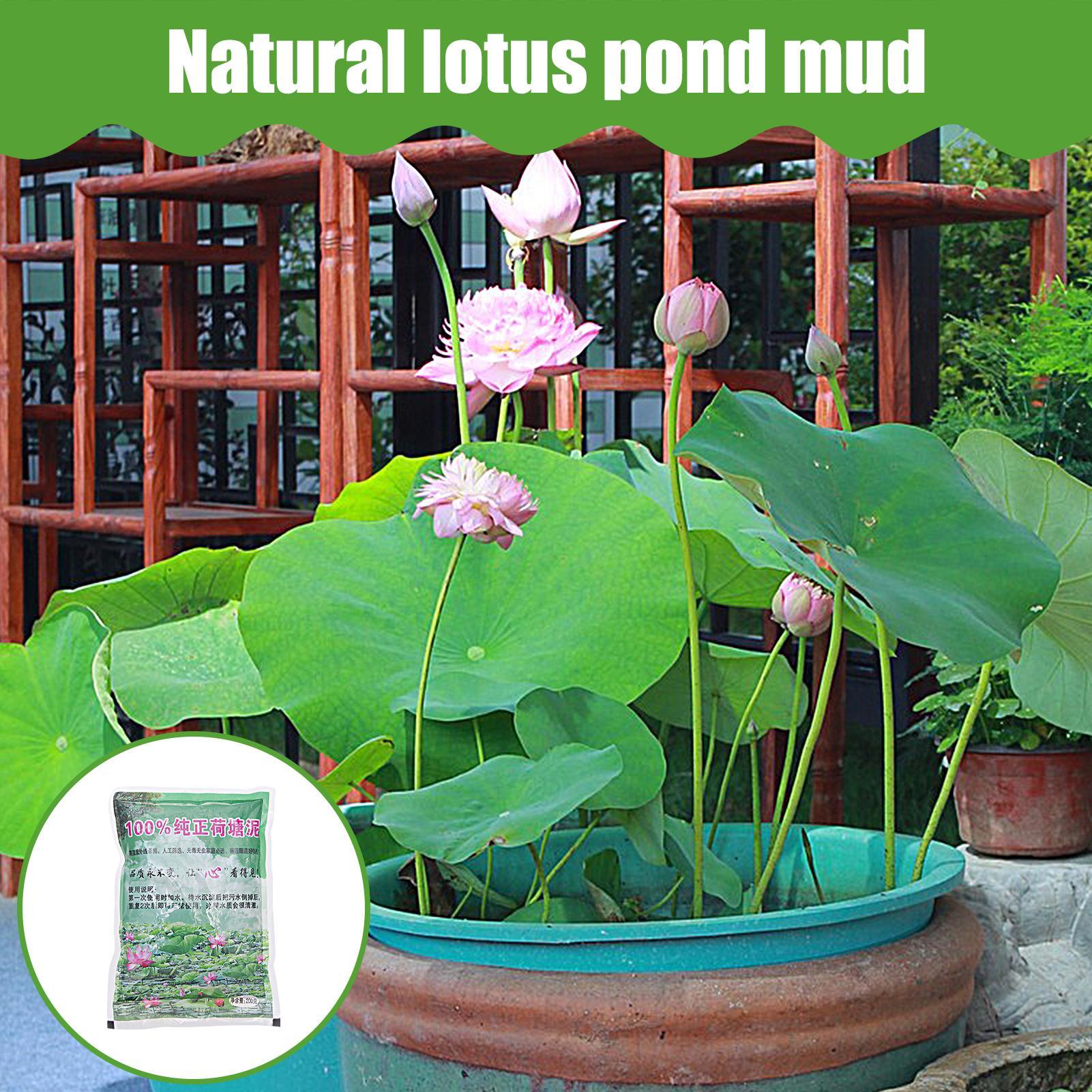 ดินปลูกในตู้ปลา 200 กรัม/ถุง ด - Aquarium Planted Seeds บทวิจารณ์และราคา