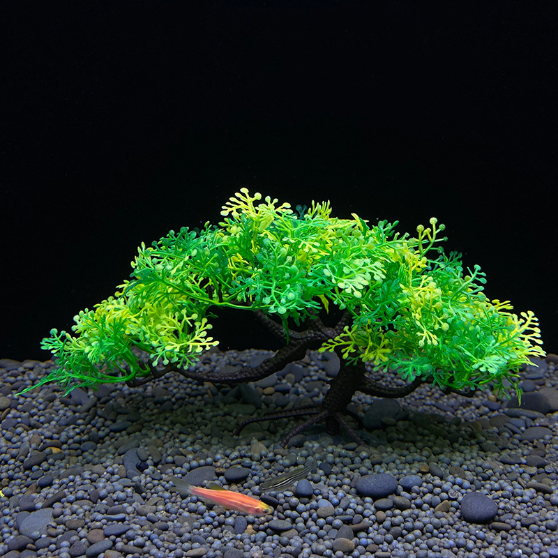 ต้นบอนไซสำหรับตู้ปลา, ต้นไม้,  - Aquarium Planted Seeds บทวิจารณ์และราคา