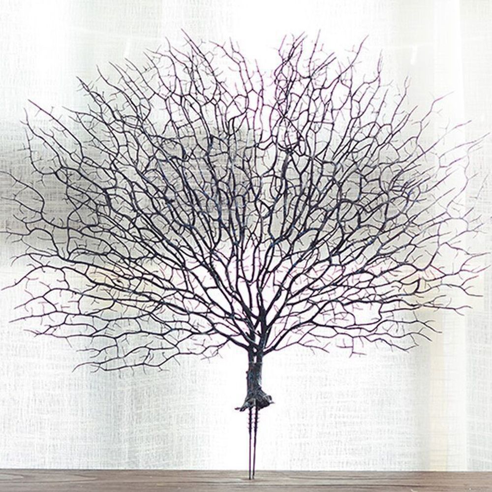 ของขวัญวันวาเลนไทน์ ตู้ปลา พลา - Aquarium Planted Tree บทวิจารณ์และราคา