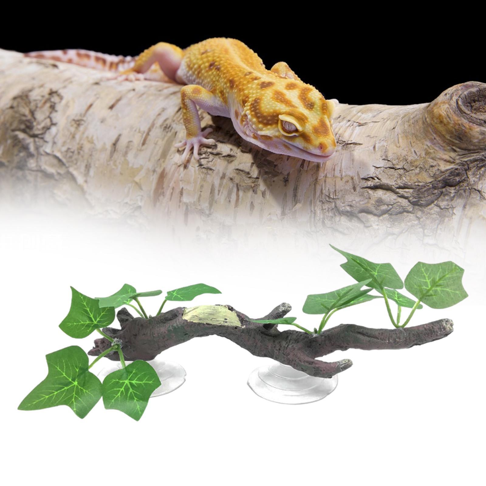 กิ่งไม้ตกแต่งสำหรับสัตว์เลื้อย - Aquarium Planted Tree บทวิจารณ์และราคา