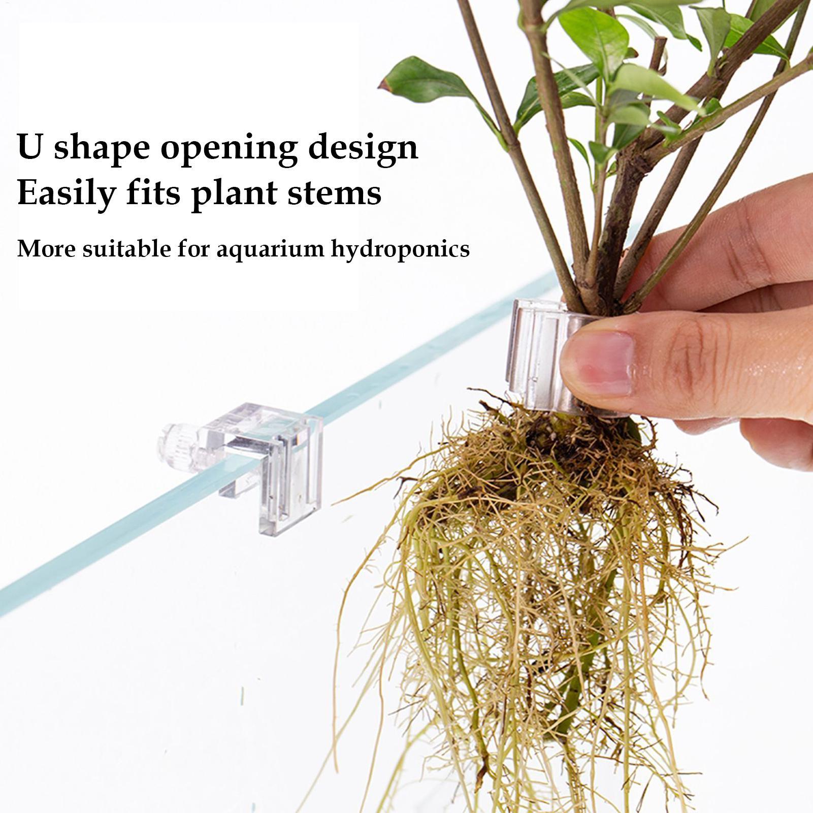 กระถางปลูกต้นไม้ขนาดเล็กสำหรับ - Planted Aquarium Mini บทวิจารณ์และราคา