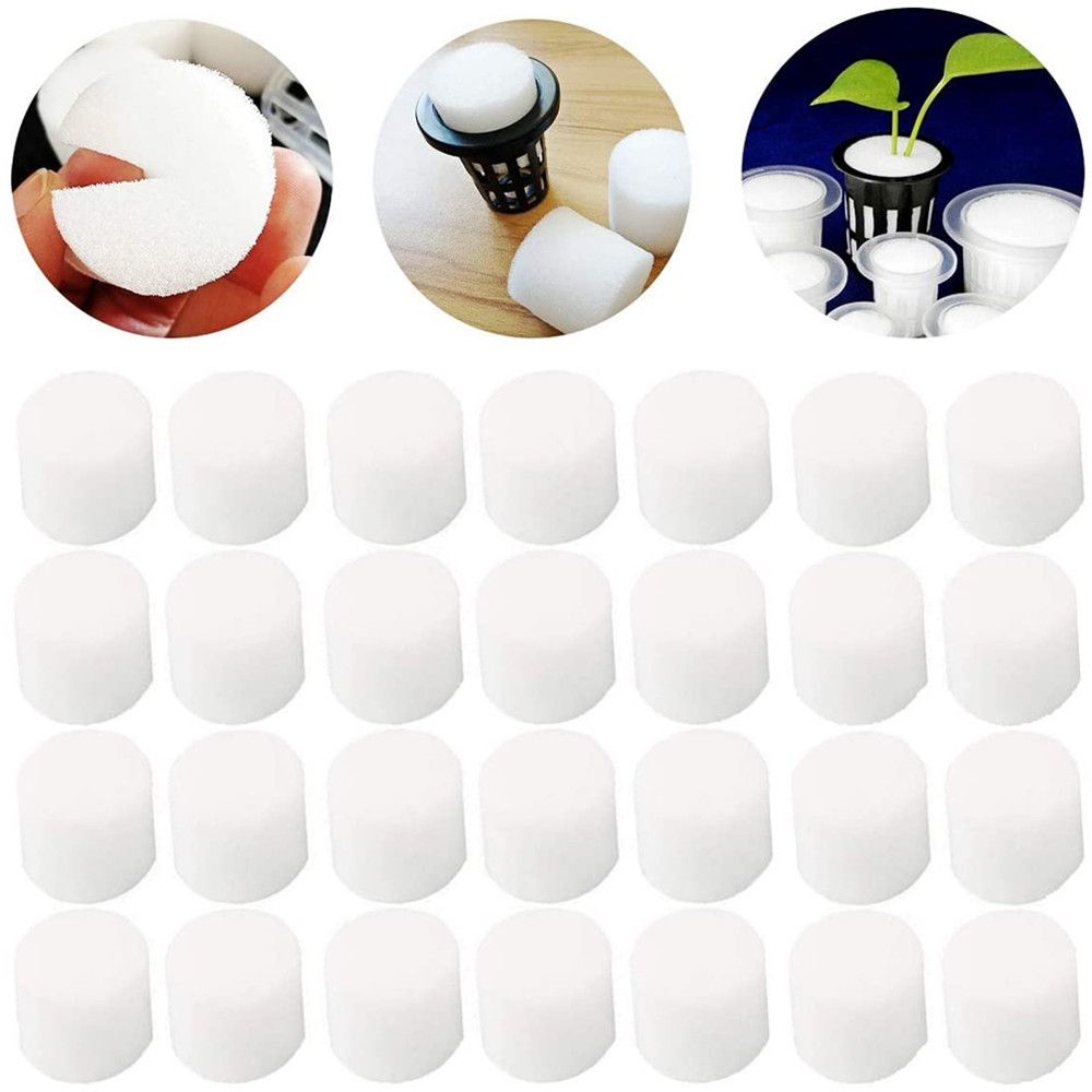 10/50Pcs ทนทาน Garden พิพิธภัณ - Aquarium Planted Seeds บทวิจารณ์และราคา