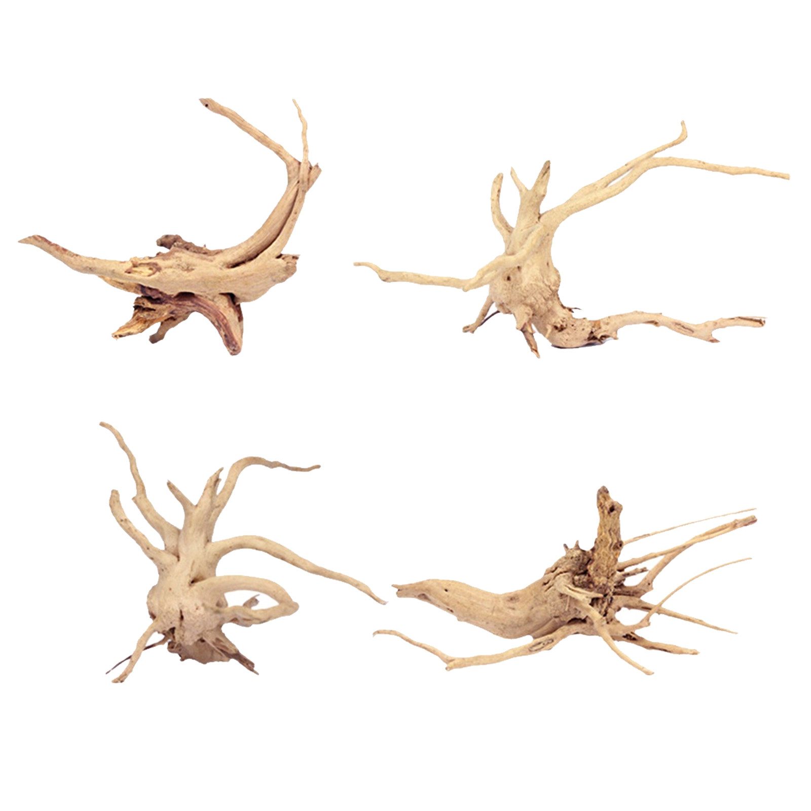 4 ชิ้น กิ่งไม้ลอยน้ำธรรมชาติ ข - Planted Aquarium Moss บทวิจารณ์และราคา