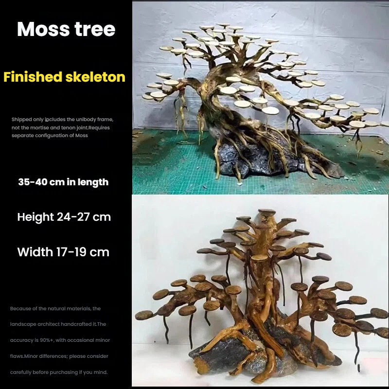 ต้นไม้ประดับตู้ปลา ตกแต่งด้วยม - Planted Aquarium Moss บทวิจารณ์และราคา