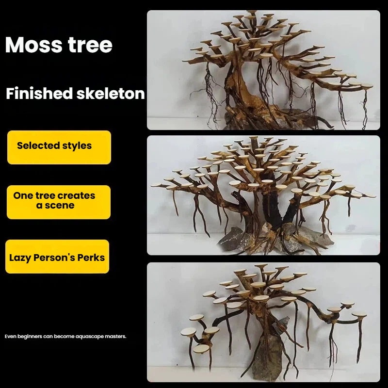 ต้นไม้ประดับตู้ปลา ตกแต่งด้วยม - Planted Aquarium Moss บทวิจารณ์และราคา