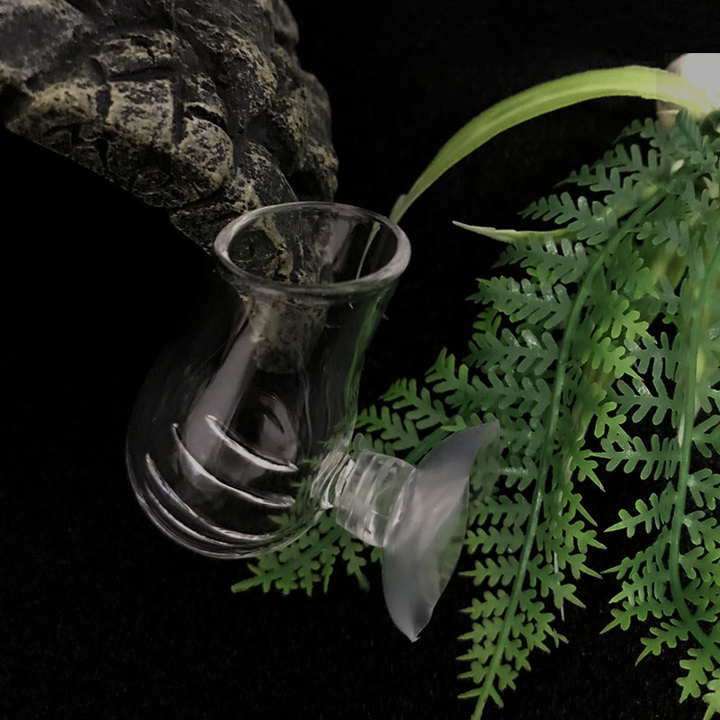 Aquarium ตกแต่งแขวนถังปลามินิค - Planted Aquarium Mini บทวิจารณ์และราคา
