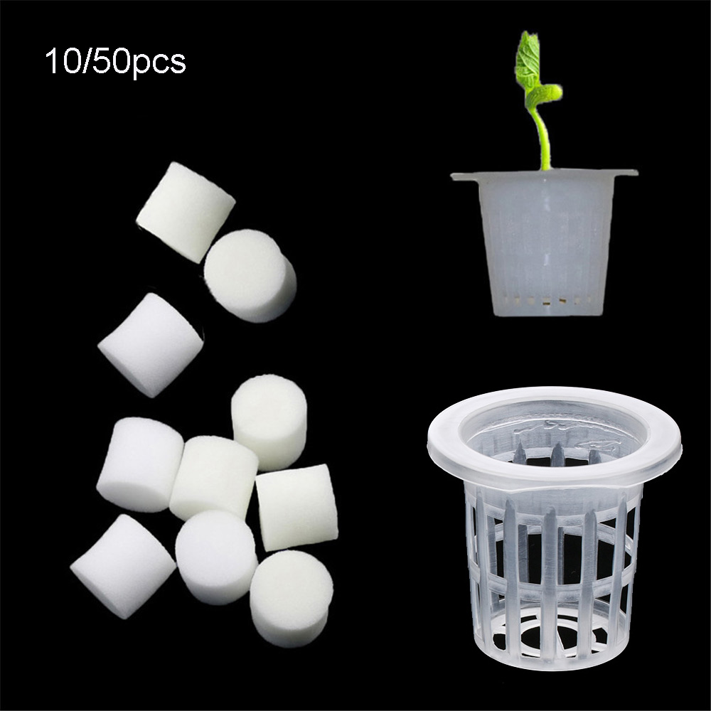 ถาดเพาะเมล็ดแบบไม่ใช้ดินสำหรับ - Aquarium Planted Seeds บทวิจารณ์และราคา