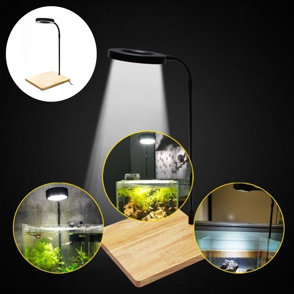 โคมไฟ LED สำหรับตู้ปลา 10W พร้ - Aquarium Plant On Wood บทวิจารณ์และราคา