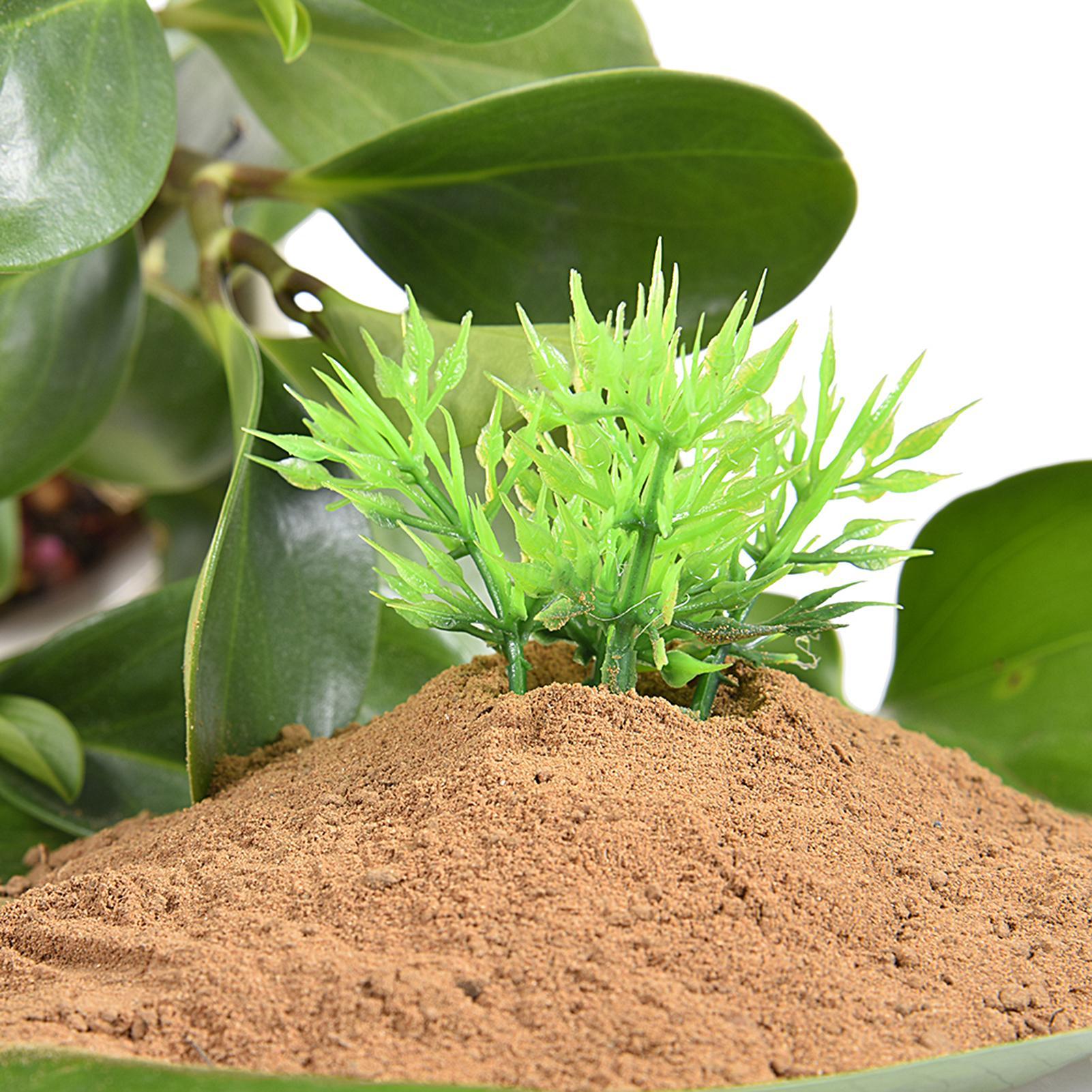ดินเหนียวสำหรับบ่อเลี้ยงสัตว์น - Aquarium Plant Nutrients บทวิจารณ์และราคา