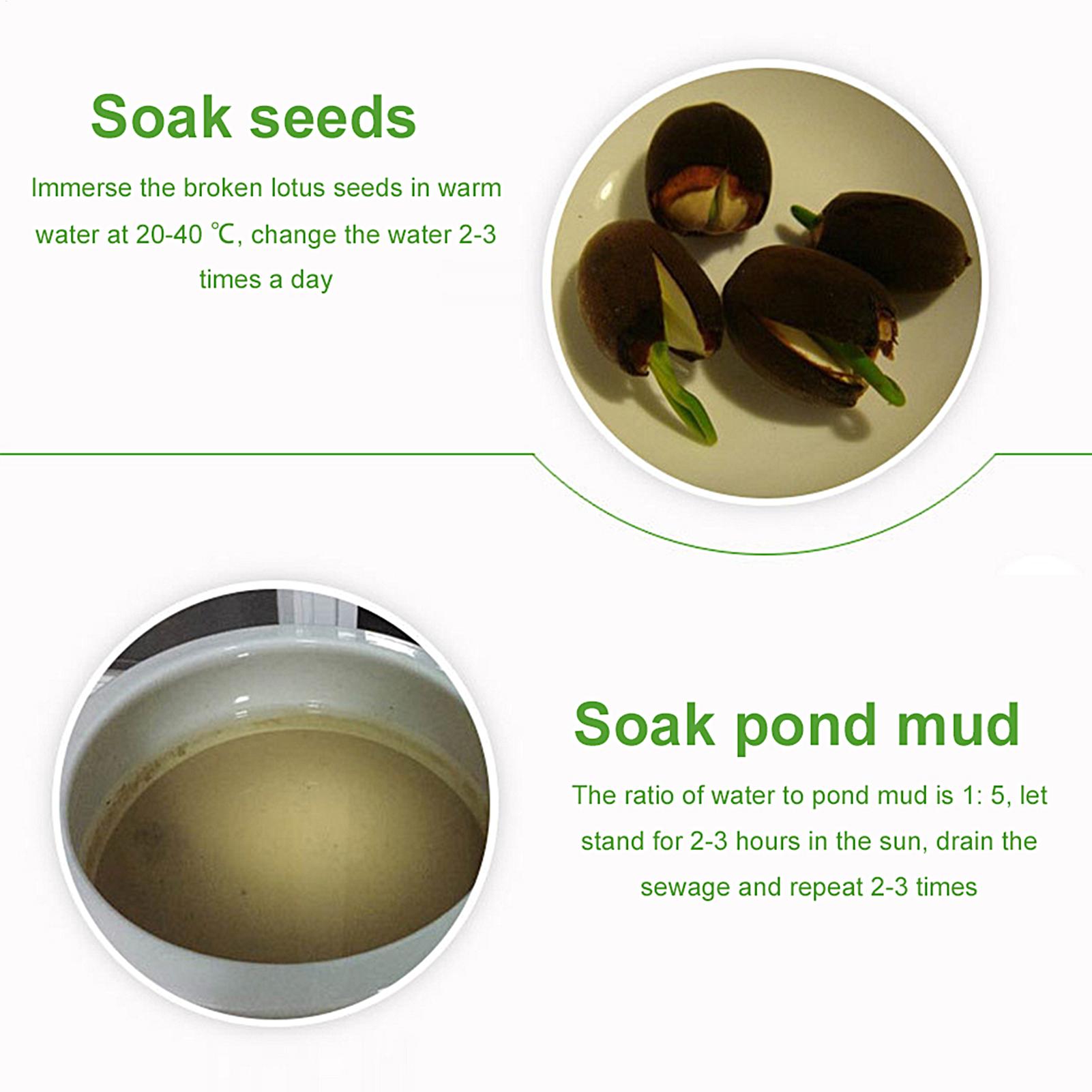 ดินเหนียวสำหรับบ่อเลี้ยงสัตว์น - Aquarium Plant Nutrients บทวิจารณ์และราคา
