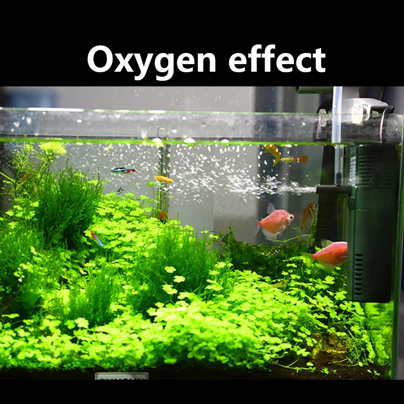 Sunsun 311B 111B ขนาดเล็กนาโน6 - Planted Aquarium Mini บทวิจารณ์และราคา