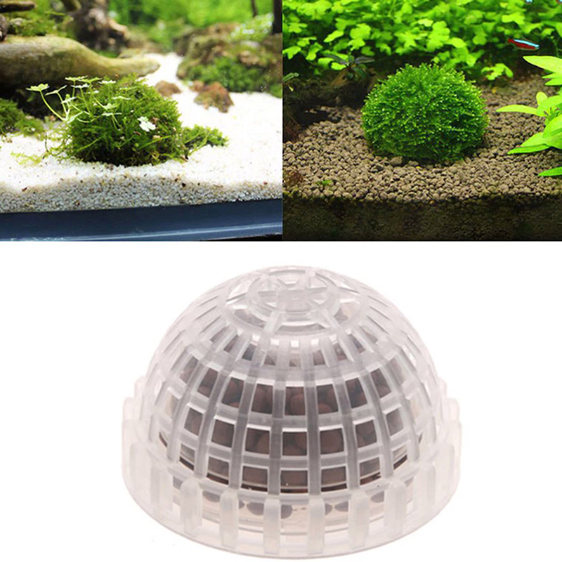 【B】อุปกรณ์ตกแต่งตู้ปลา ของตกแต - Planted Aquarium Moss บทวิจารณ์และราคา