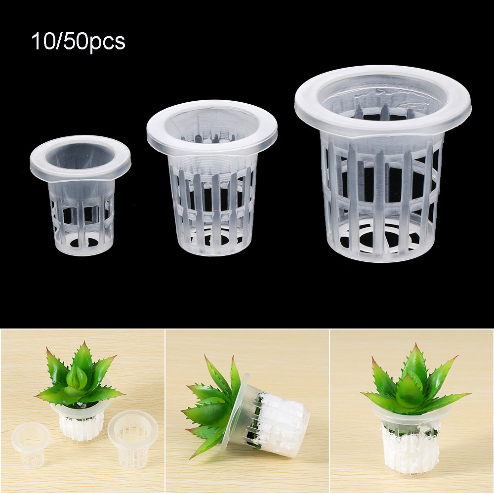อุปกรณ์ทำสวน 10/50 ชิ้น สำหรับ - Aquarium Planted Seeds บทวิจารณ์และราคา
