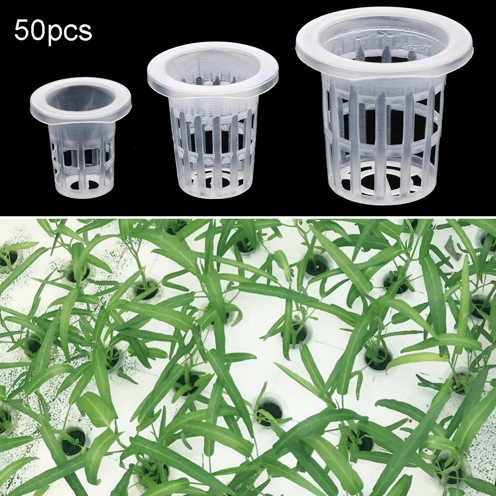 อุปกรณ์ทำสวน 10/50 ชิ้น สำหรับ - Aquarium Planted Seeds บทวิจารณ์และราคา